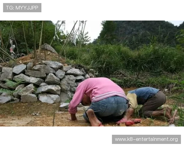 在凯发k8国际官方网站上注册流程与新手玩家必知的操作指南